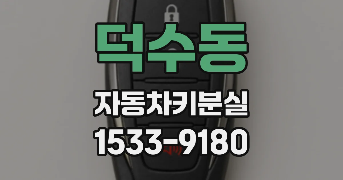 덕수동 자동차키분실
