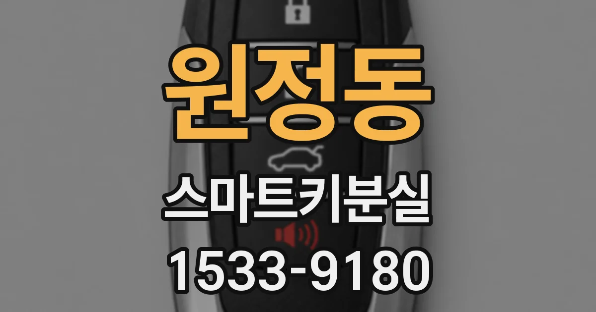 원정동 스마트키분실