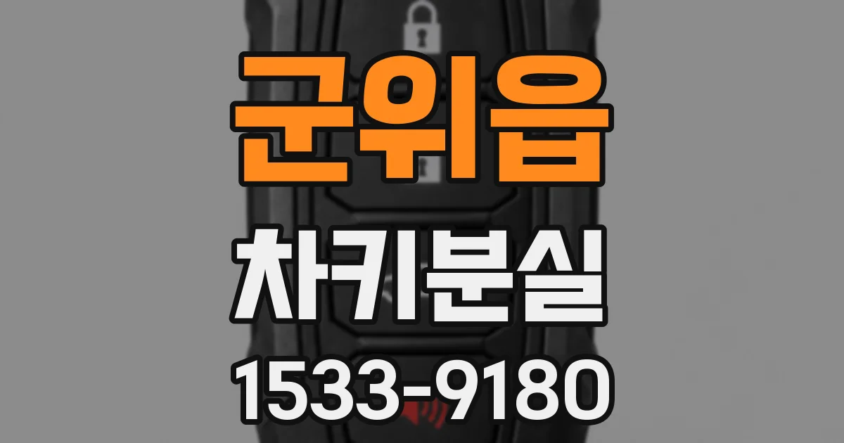 군위읍 차키분실