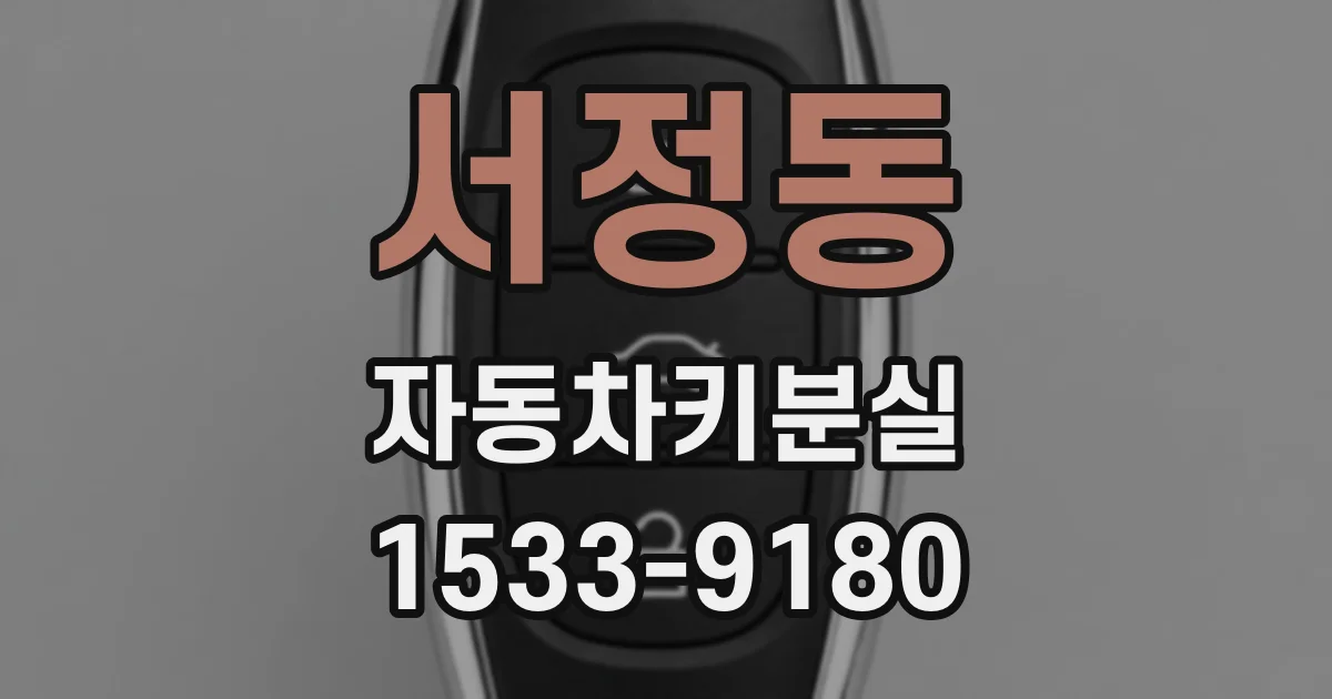 서정동 자동차키분실