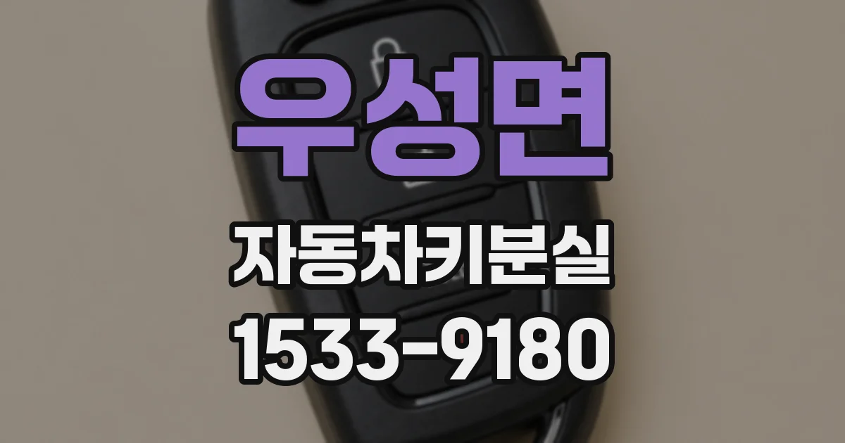 우성면 자동차키분실