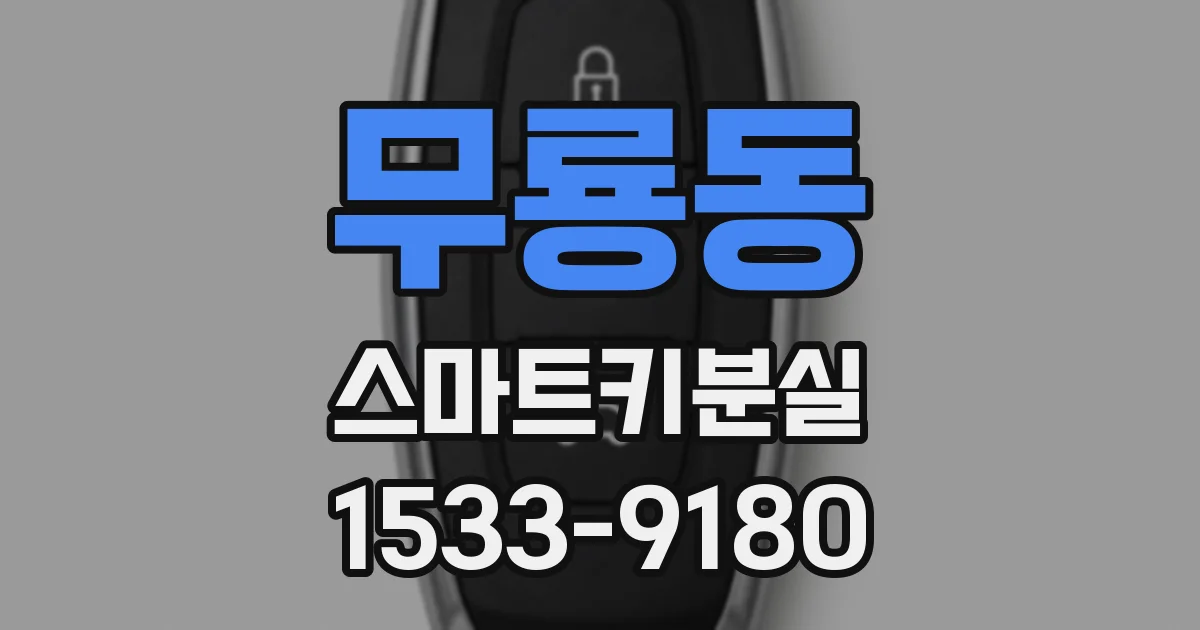 무룡동 스마트키분실