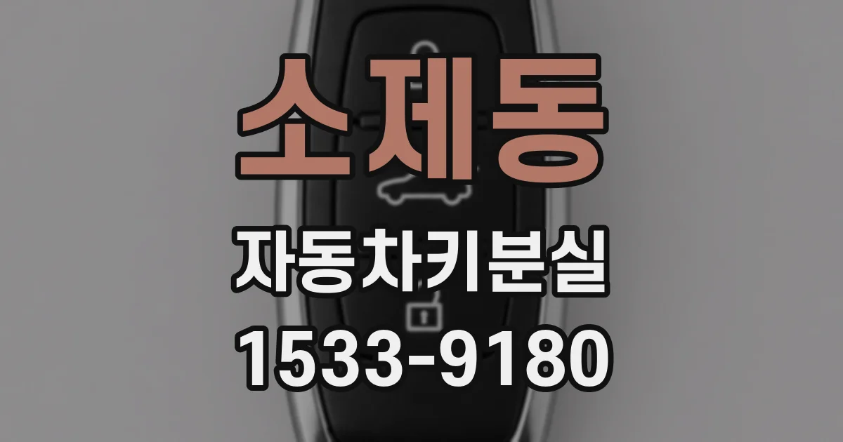 소제동 자동차키분실