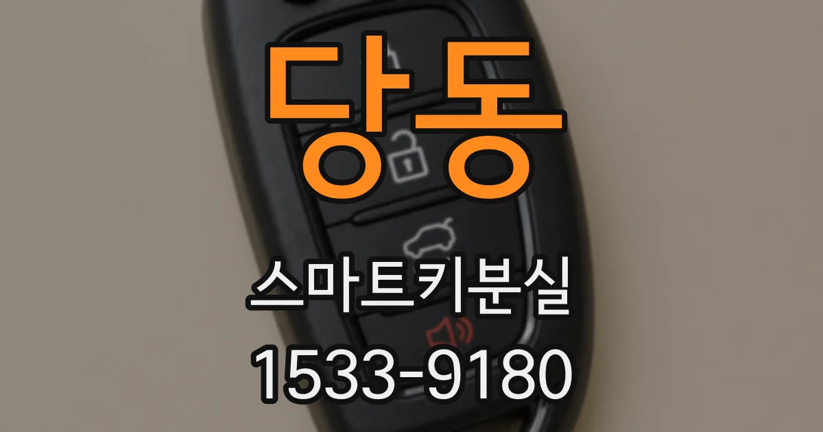 당동 스마트키분실
