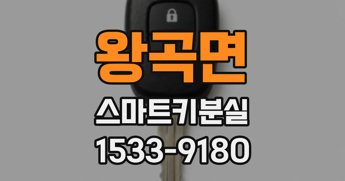 왕곡면 스마트키분실