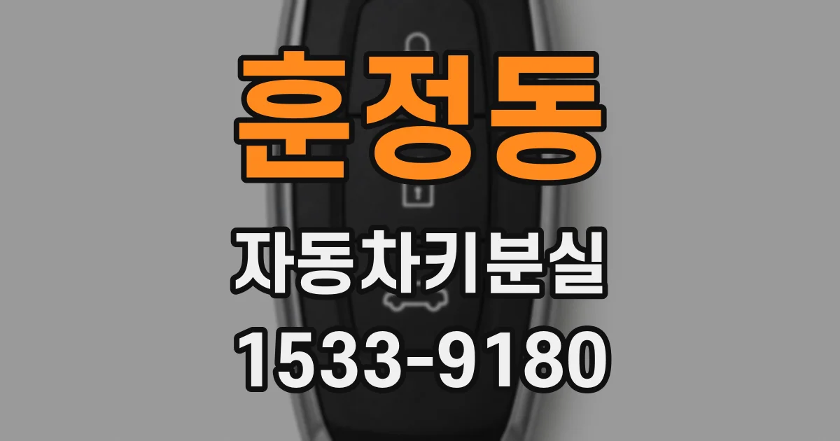 훈정동 자동차키분실