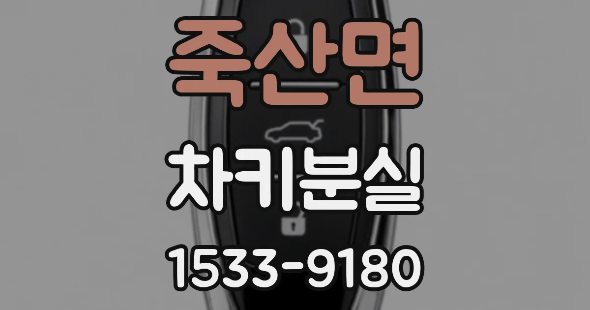 죽산면 차키분실