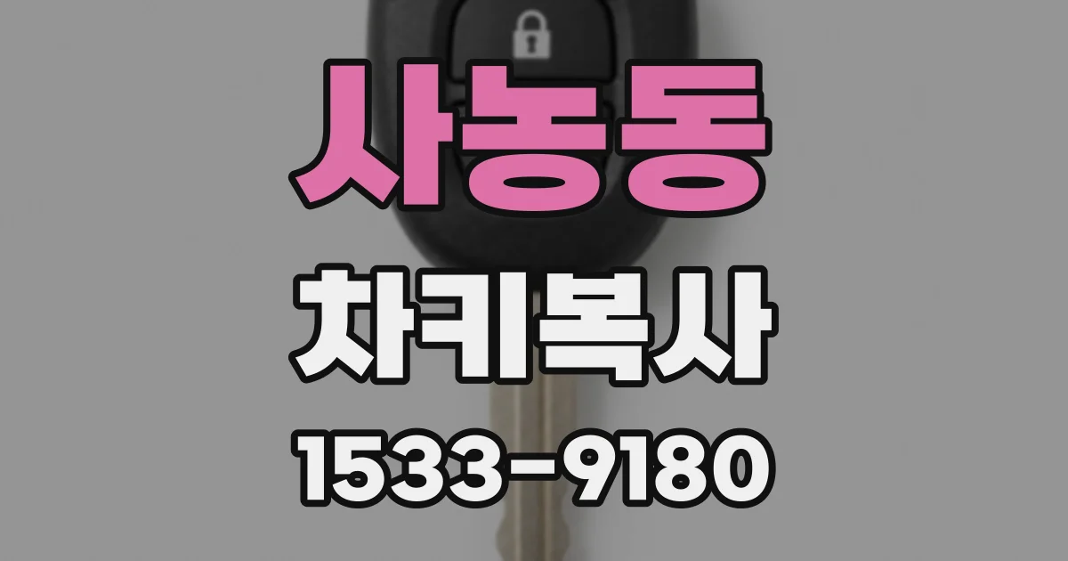 사농동 차키복사