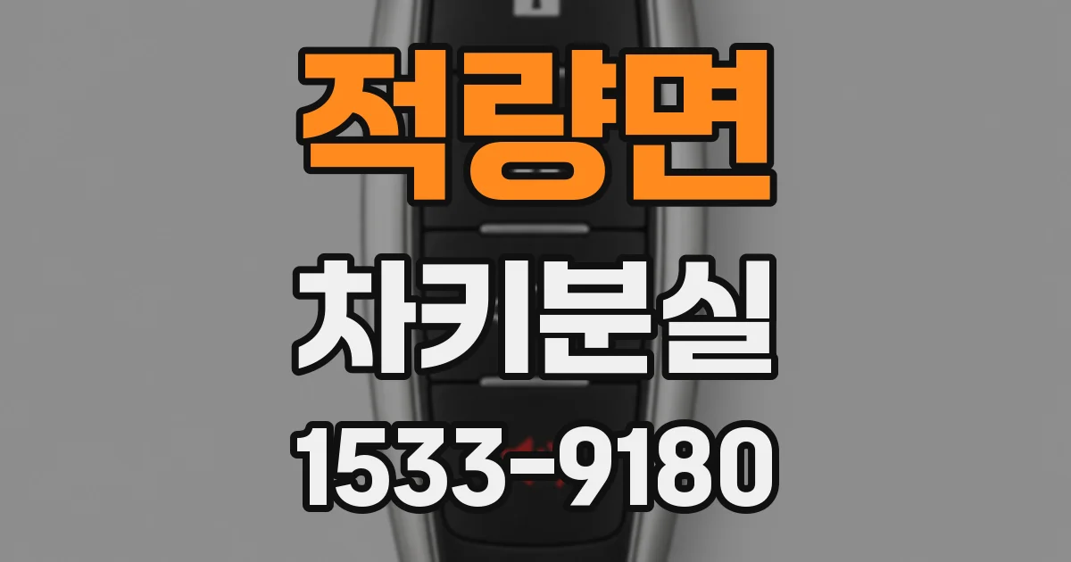 적량면 차키분실