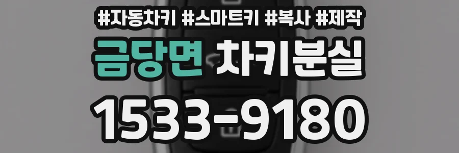 금당면 차키분실