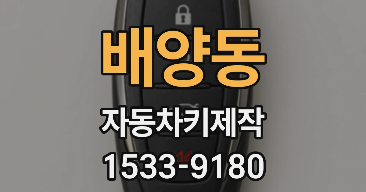 배양동 자동차키제작