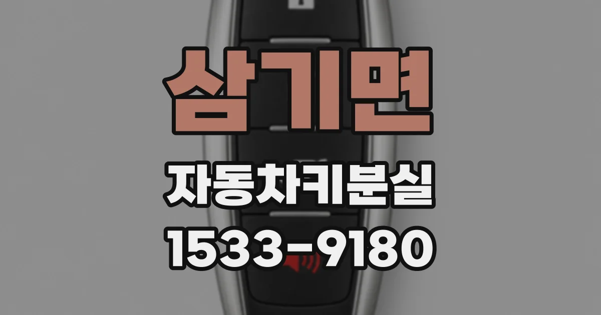 삼기면 자동차키분실