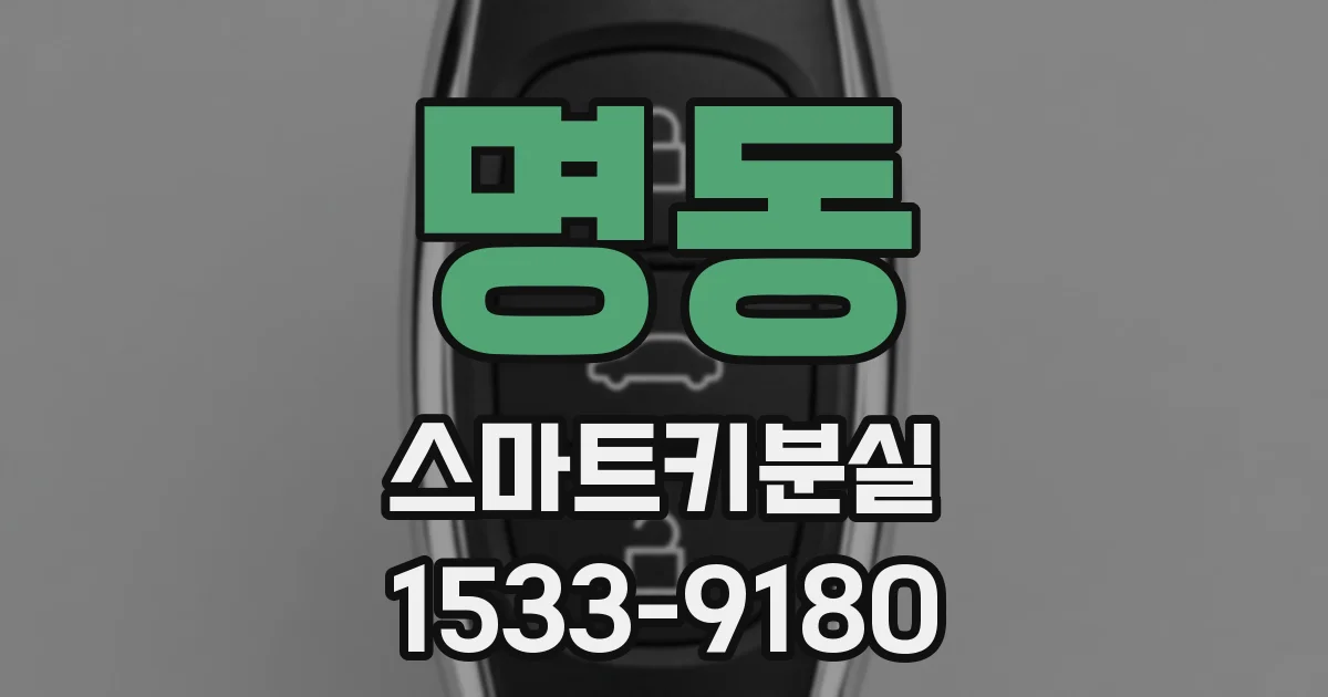 명동 스마트키분실
