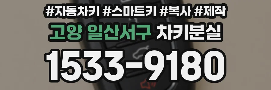 고양 일산서구 차키분실