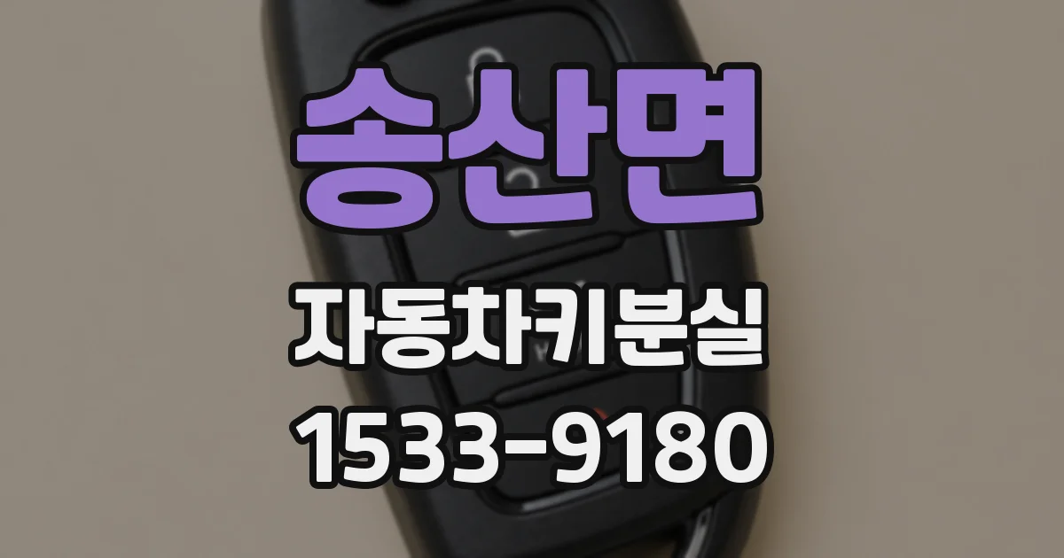 송산면 자동차키분실