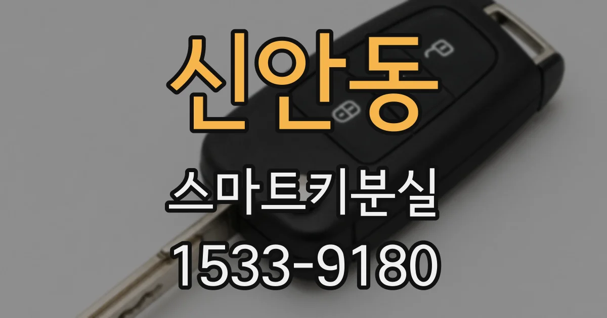신안동 스마트키분실