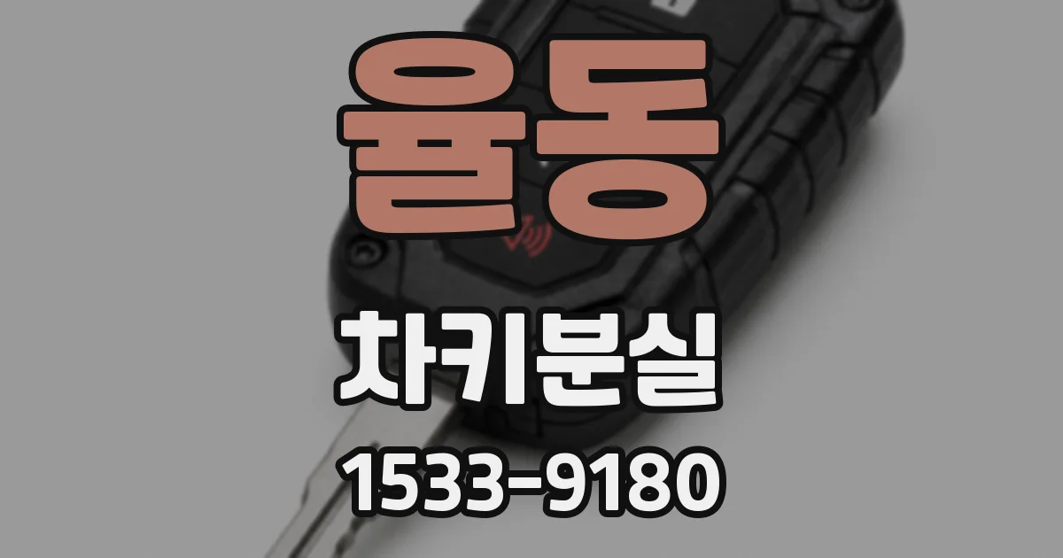 율동 차키분실