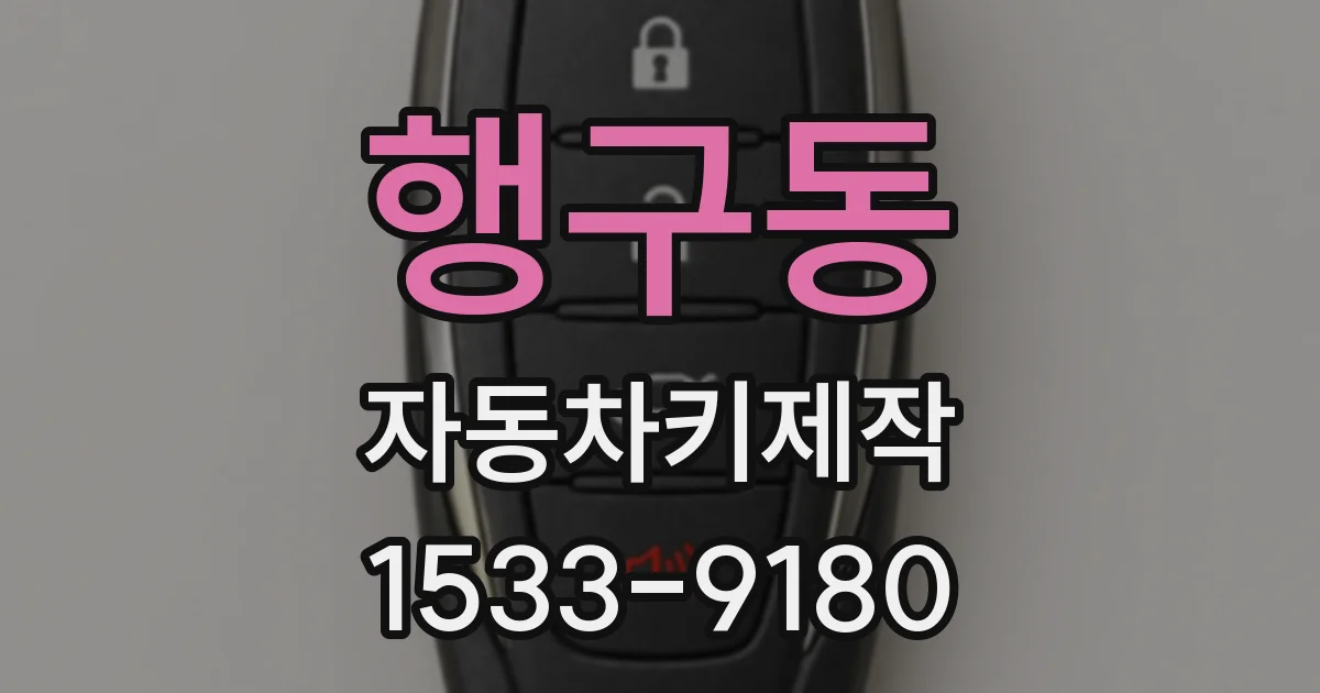 행구동 자동차키제작