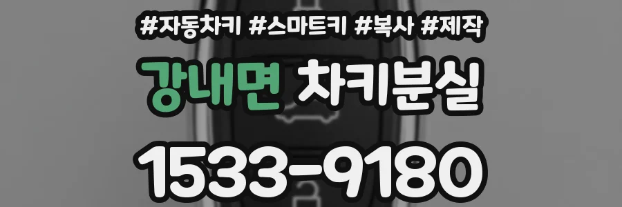 강내면 차키분실