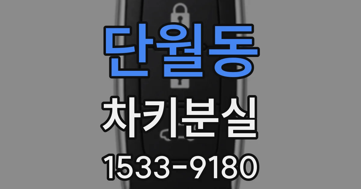 단월동 차키분실