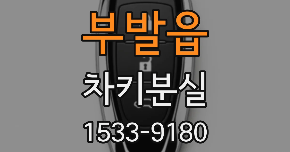 부발읍 차키분실
