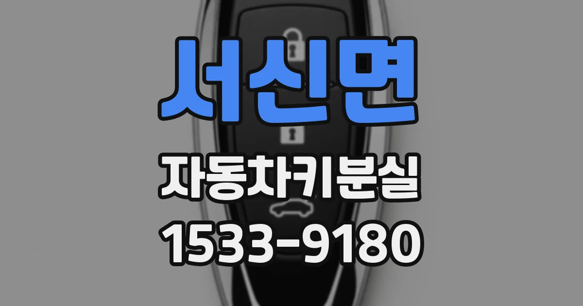 서신면 자동차키분실