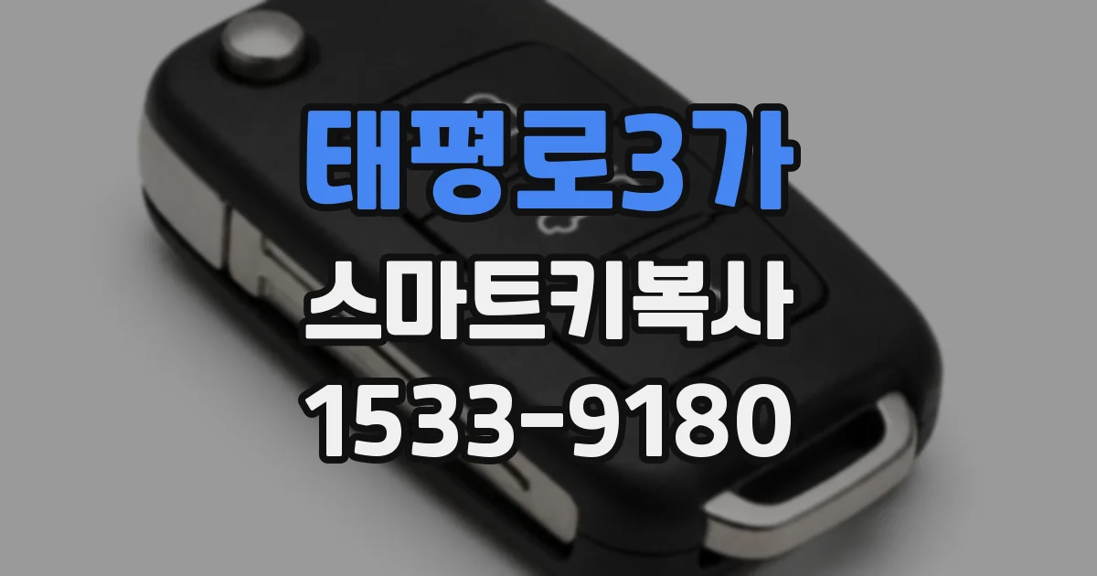 태평로3가 스마트키복사