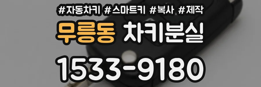 무릉동 차키분실