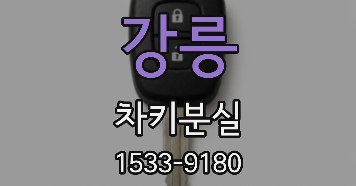 강릉 차키분실