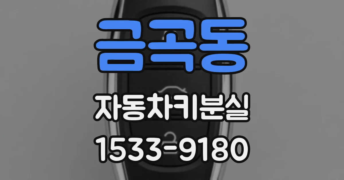 금곡동 자동차키분실
