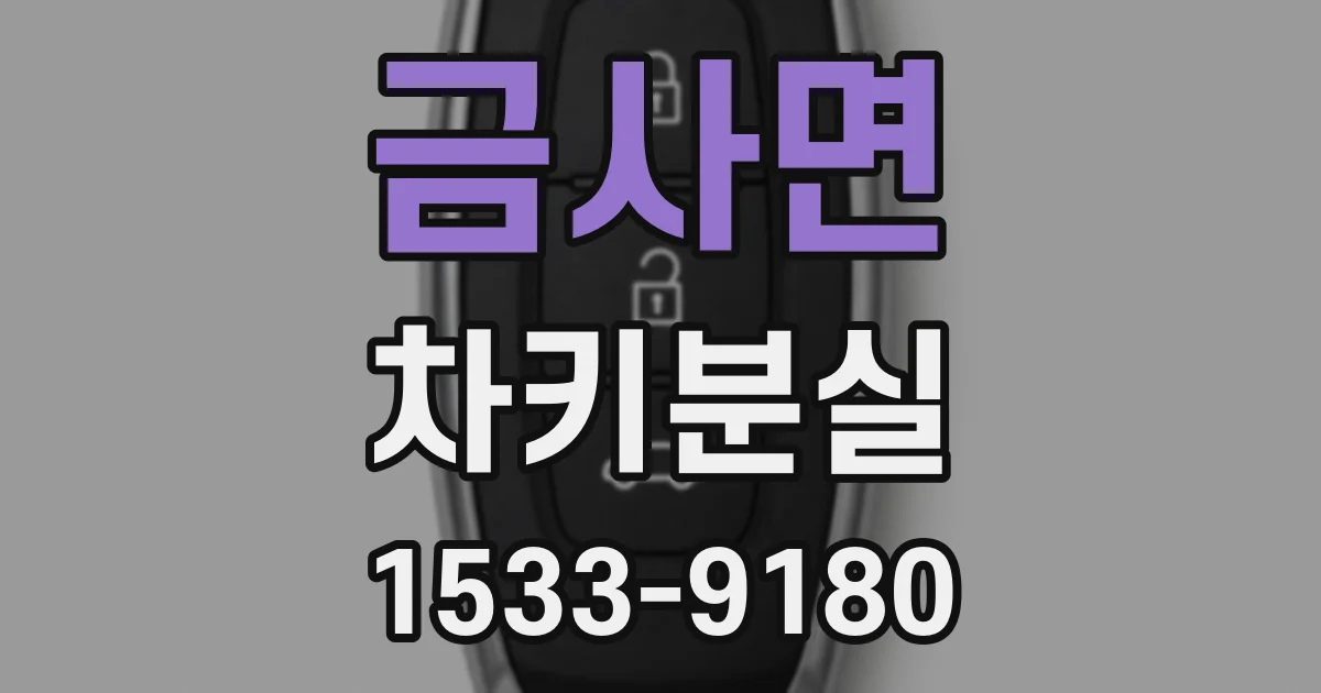 금사면 차키분실