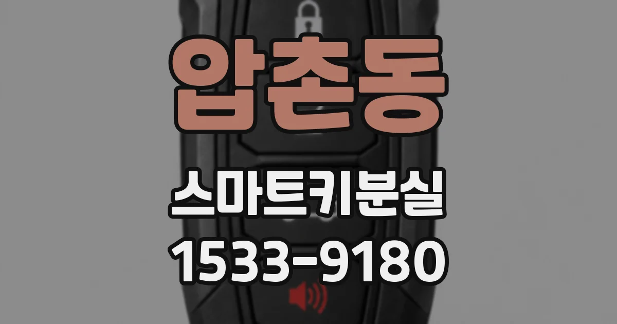 압촌동 스마트키분실