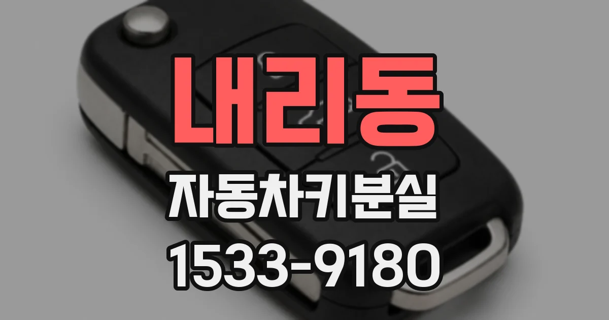 내리동 자동차키분실