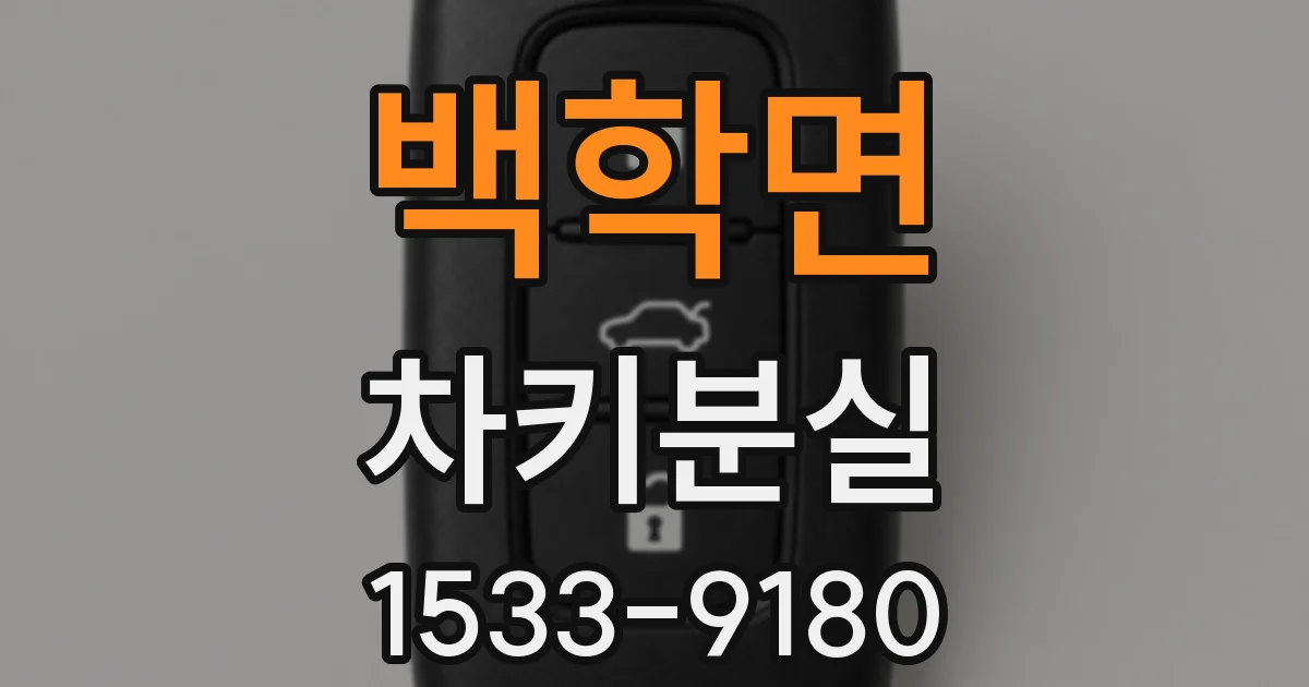 백학면 차키분실