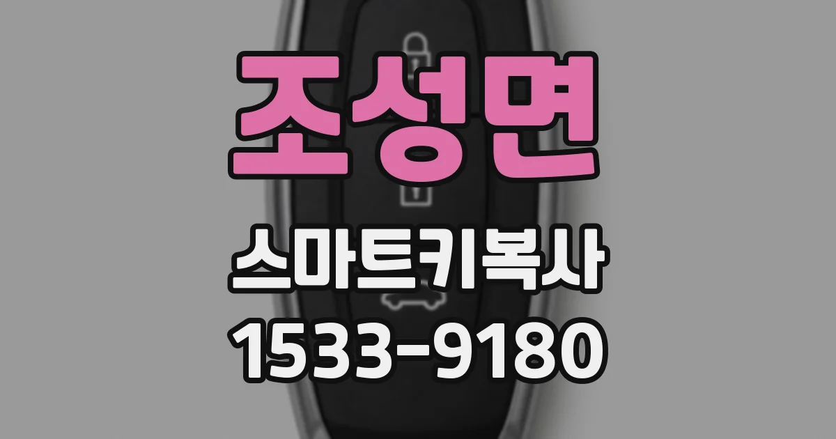 조성면 스마트키복사