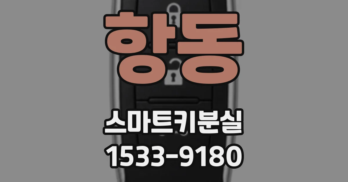 항동 스마트키분실