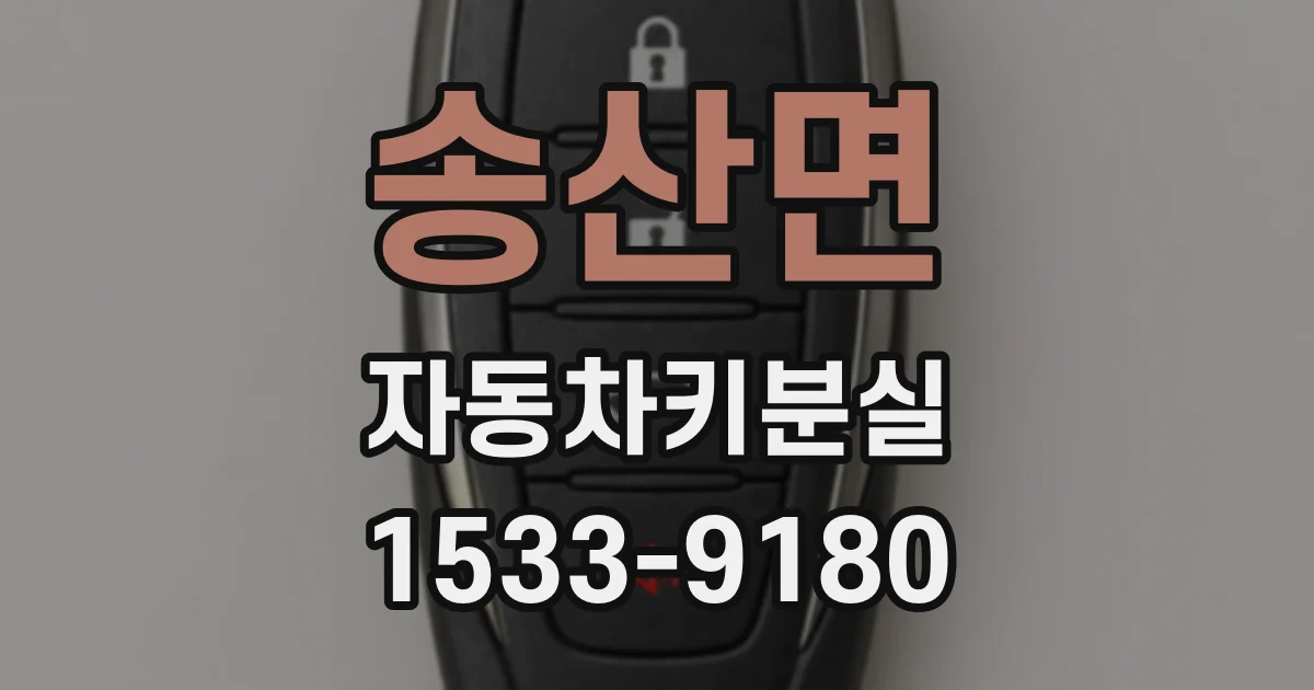송산면 자동차키분실