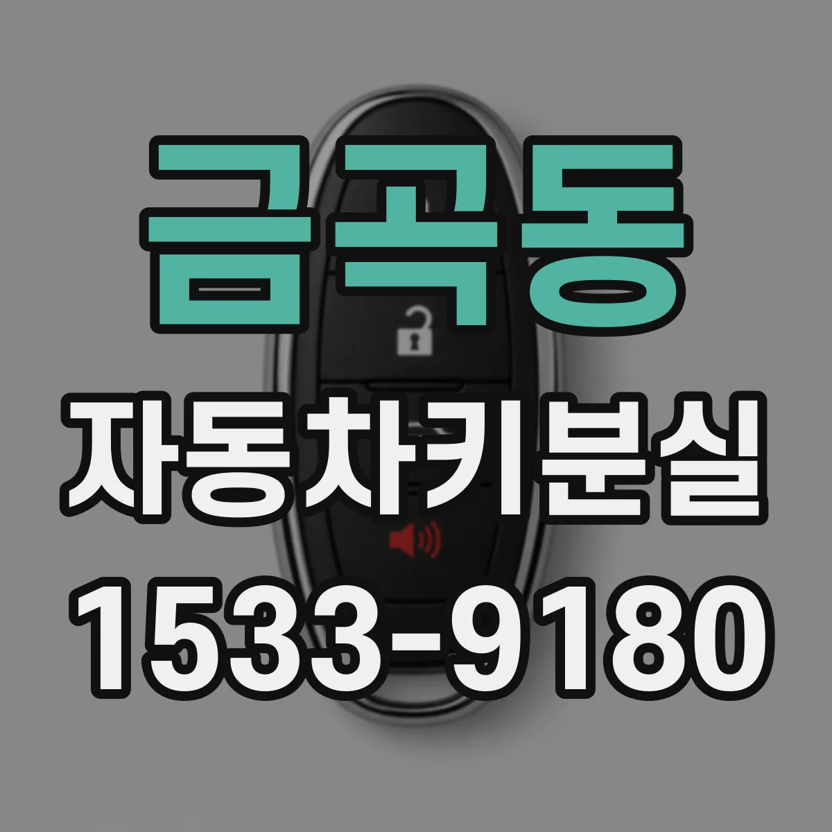 금곡동 자동차키분실