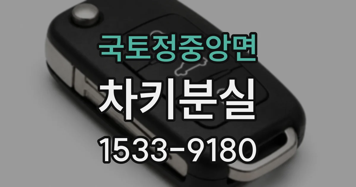 국토정중앙면 차키분실