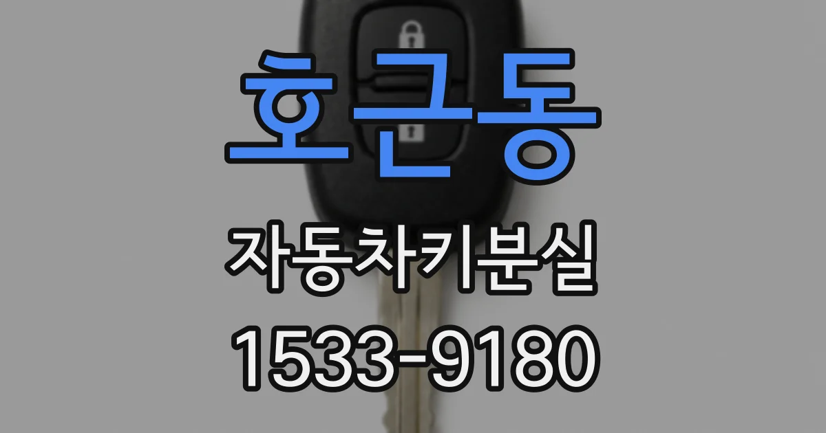 호근동 자동차키분실
