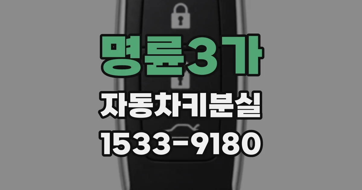명륜3가 자동차키분실
