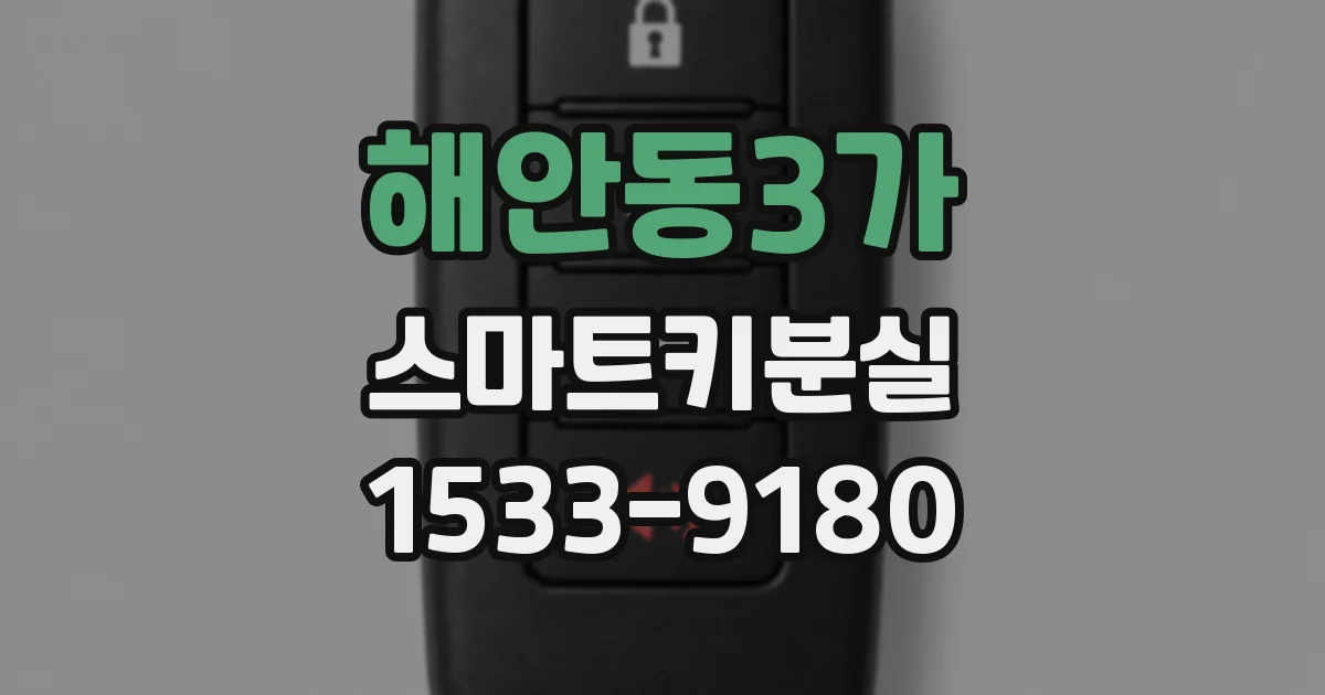 해안동3가 스마트키분실