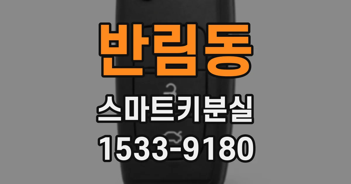 반림동 스마트키분실