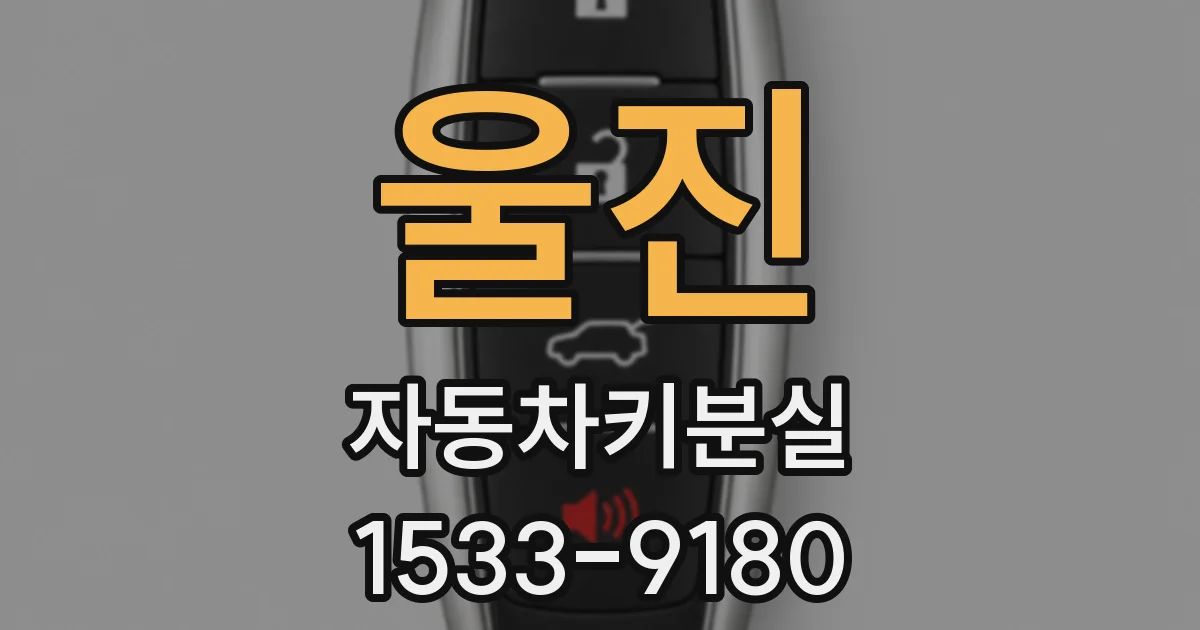울진 자동차키분실