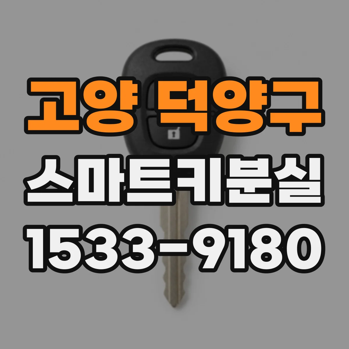 고양 덕양구 스마트키분실