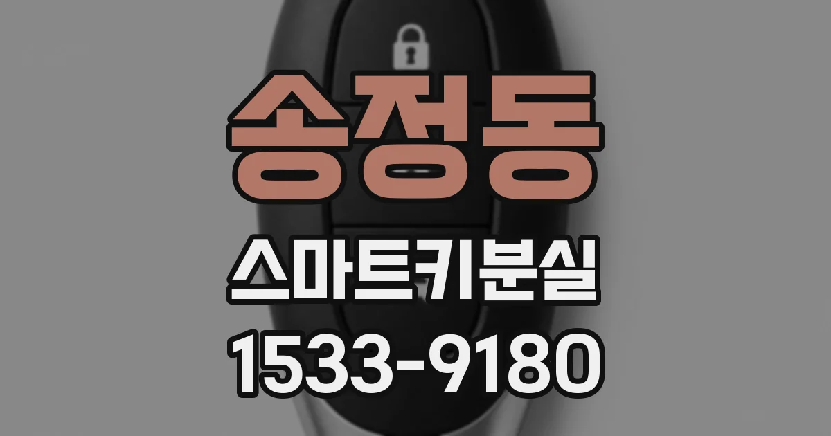 송정동 스마트키분실