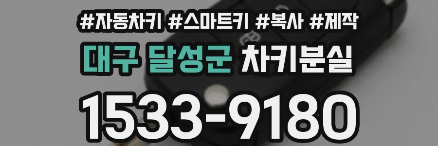 대구 달성군 차키분실