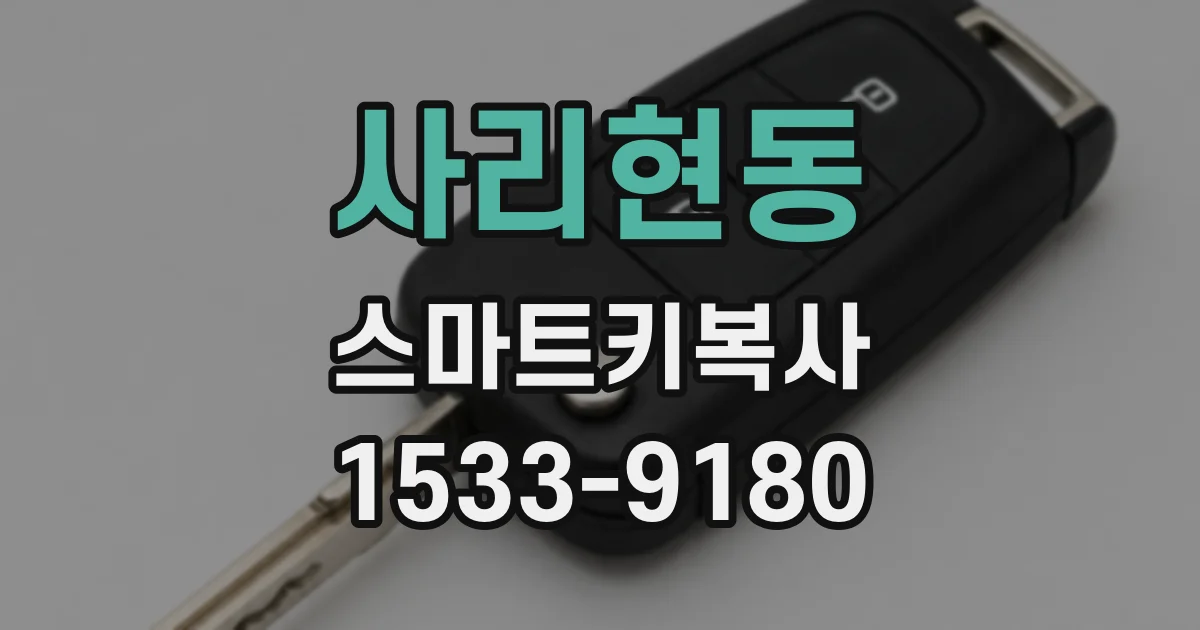 사리현동 스마트키복사