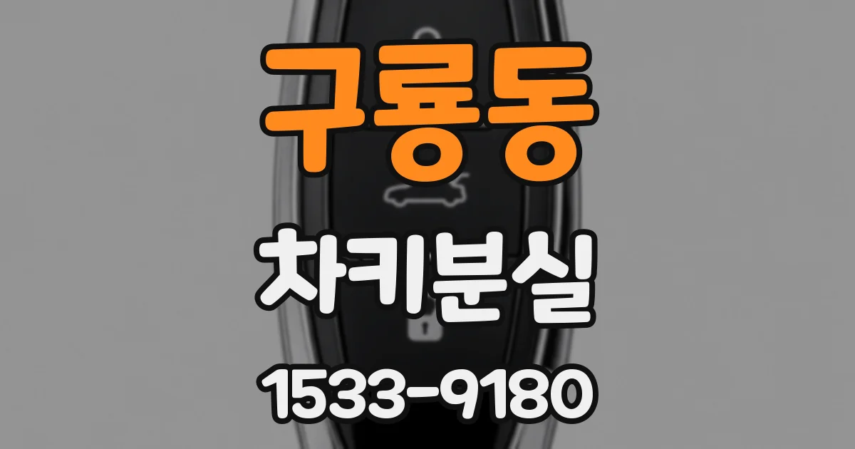 구룡동 차키분실