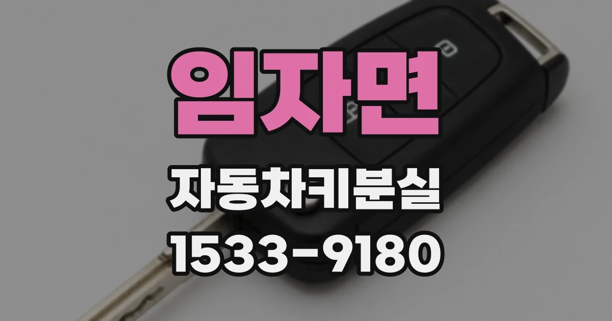 임자면 자동차키분실